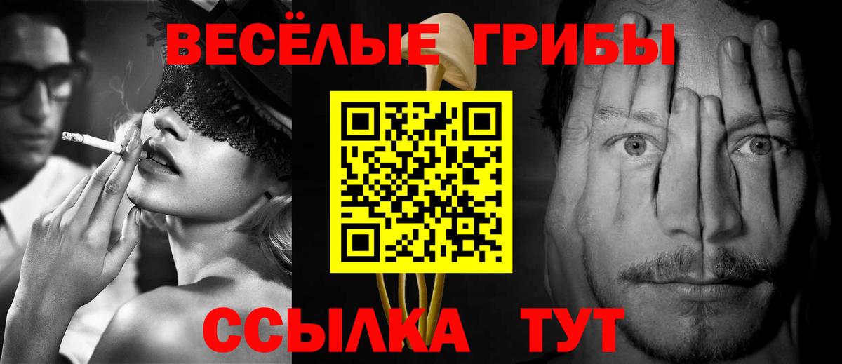 Псилоцибиновые грибы MAGIC MUSHROOMS  Вход с VPN  Псилоцибиновые грибы GOLDEN TEACHER  Алейск 